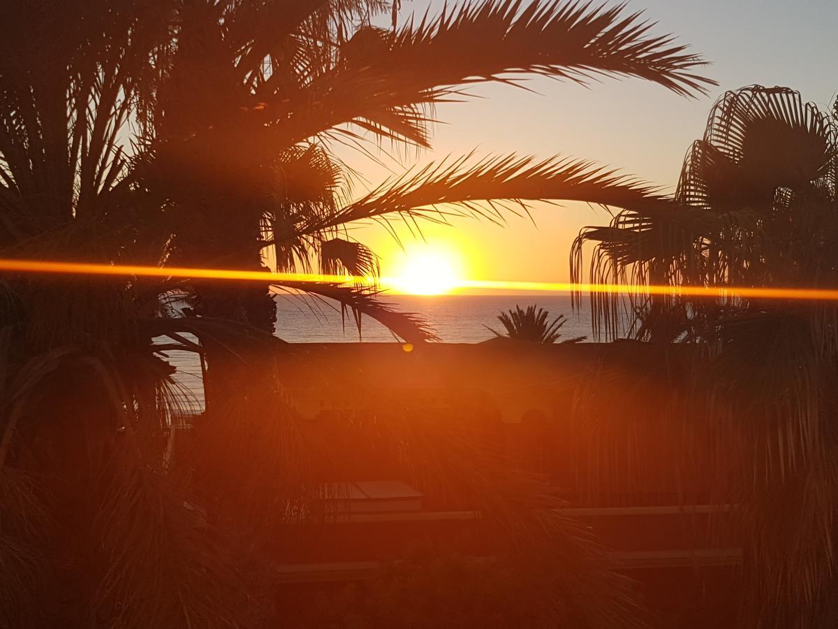 Vila Lavanda Playa de las Americas  Esterno foto